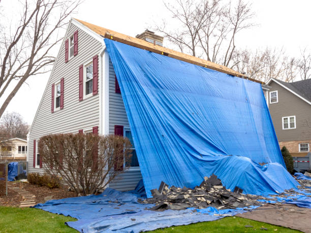 Best Vinyl Siding Installation  in New Eagle, PA